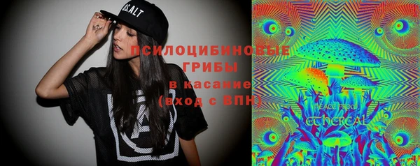 молекула духа Тольятти